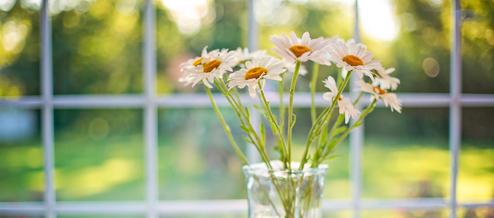 Gesundes Wohnen - richtiges Heizen und L&uuml;ften
